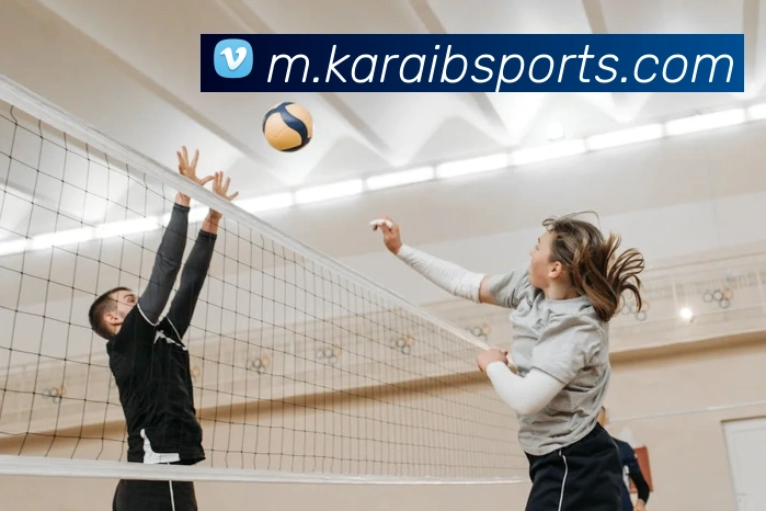 App Interface Preview