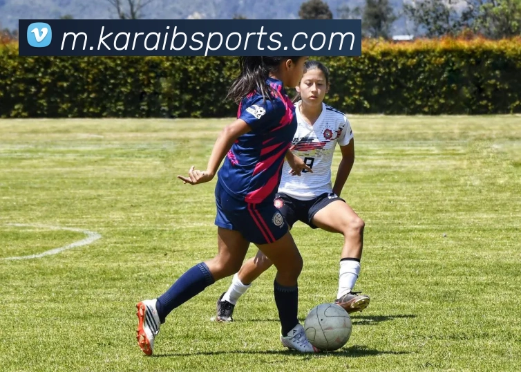 B体育APP 封面图